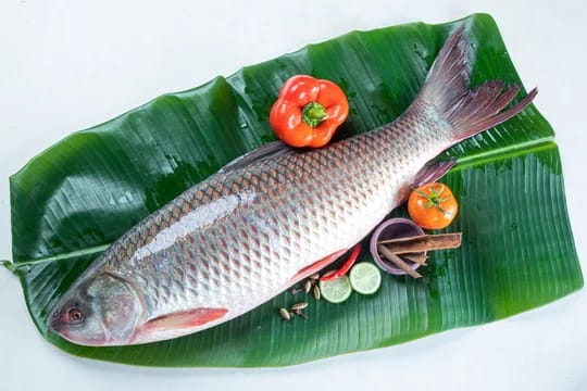 রুই