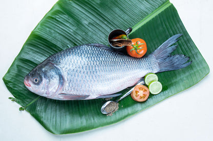 কাতলা
