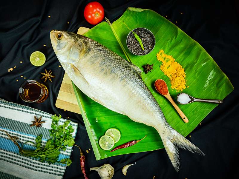 ইলিশ